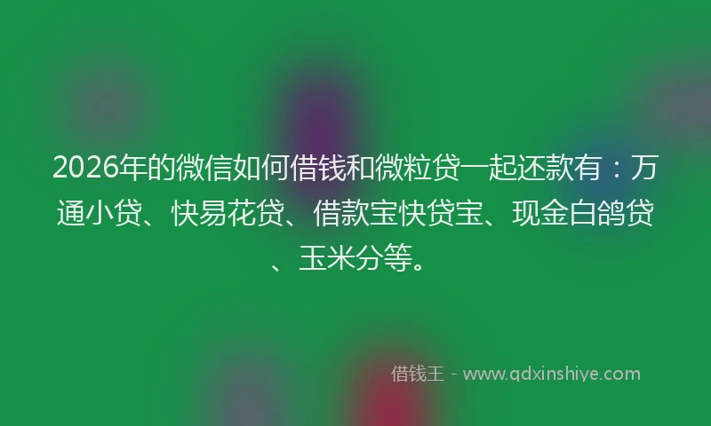 2026年的微信如何借钱和微粒贷一起还款有:万通小贷、快易花贷、借款宝快贷宝、现金白鸽贷、玉米分等。