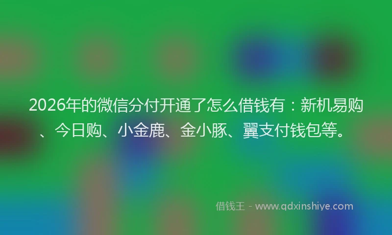 2026年的微信分付开通了怎么借钱有：新机易购、今日购、小金鹿、金小豚、翼支付钱包等。
