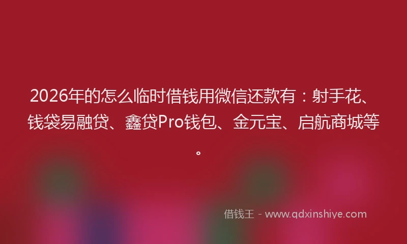 2026年的怎么临时借钱用微信还款有：射手花、钱袋易融贷、鑫贷Pro钱包、金元宝、启航商城等。