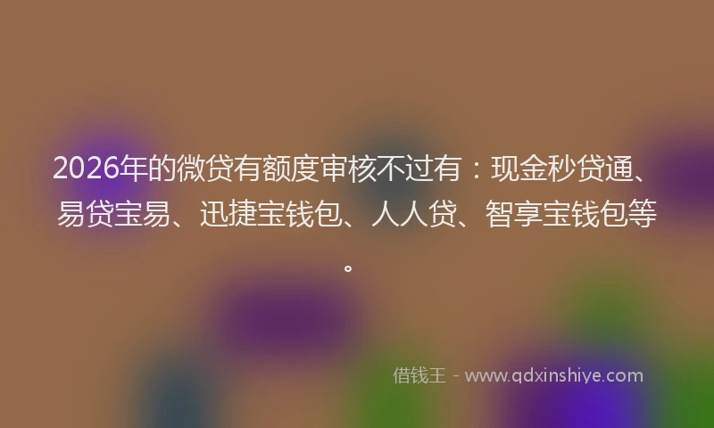 2026年的微贷有额度审核不过有:现金秒贷通、易贷宝易、迅捷宝钱包、人人贷、智享宝钱包等。
