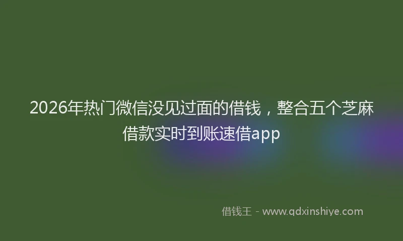 2026年热门微信没见过面的借钱，整合五个芝麻借款实时到账速借app
