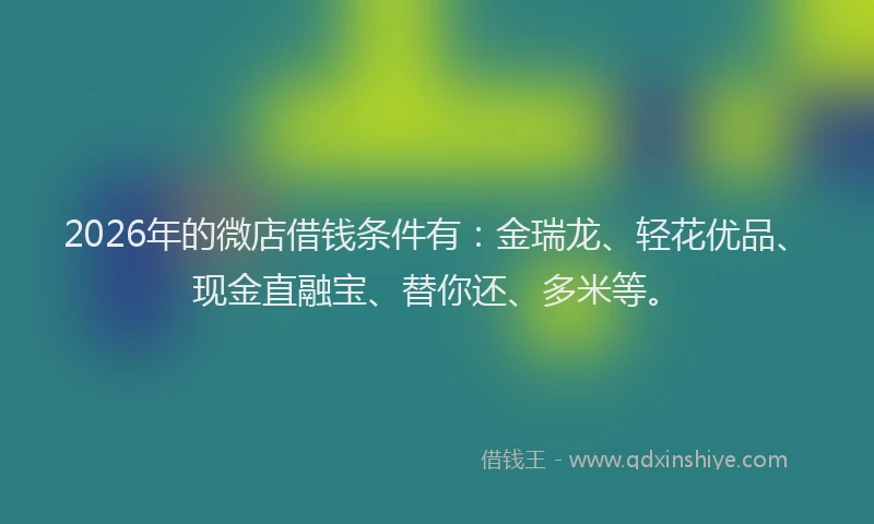 2026年的微店借钱条件有：金瑞龙、轻花优品、现金直融宝、替你还、多米等。