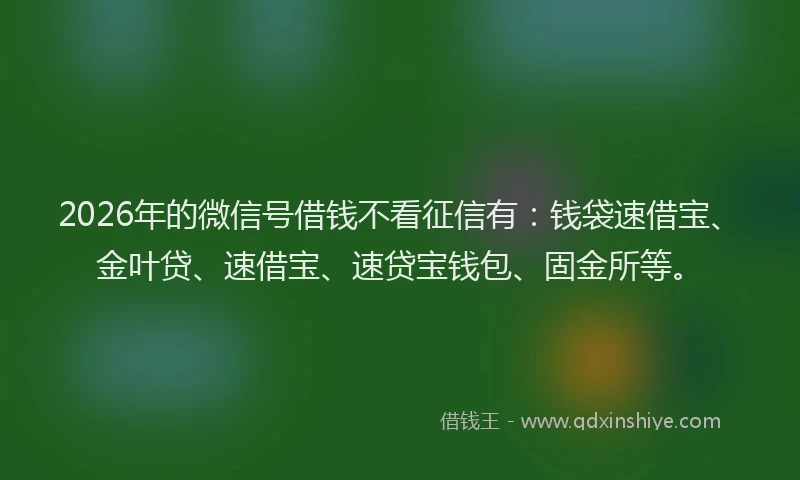 2026年的微信号借钱不看征信有：钱袋速借宝、金叶贷、速借宝、速贷宝钱包、固金所等。