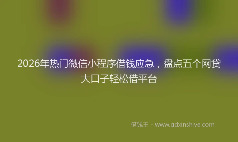 2026年热门微信小程序借钱应急，盘点五个网贷大口子轻松借平台