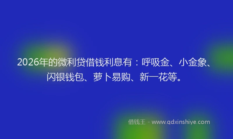 2026年的微利贷借钱利息有:呼吸金、小金象、闪银钱包、萝卜易购、新一花等。