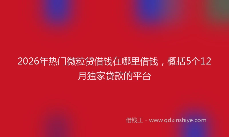 2026年热门微粒贷借钱在哪里借钱，概括5个12月独家贷款的平台