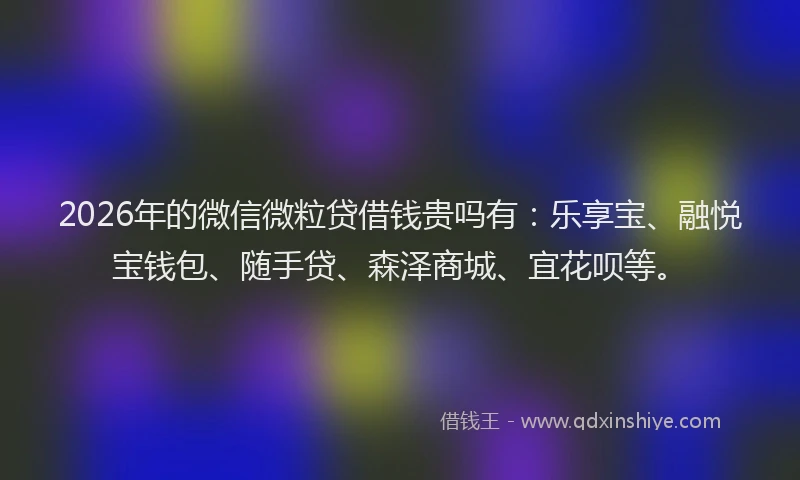2026年的微信微粒贷借钱贵吗有：乐享宝、融悦宝钱包、随手贷、森泽商城、宜花呗等。