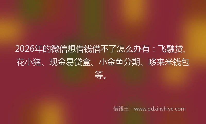 2026年的微信想借钱借不了怎么办有：飞融贷、花小猪、现金易贷盒、小金鱼分期、哆来米钱包等。