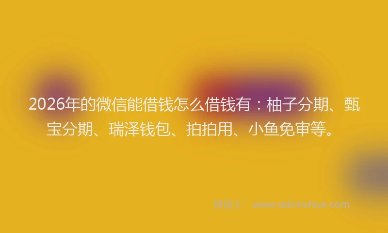 2026年的微信能借钱怎么借钱有：柚子分期、甄宝分期、瑞泽钱包、拍拍用、小鱼免审等。