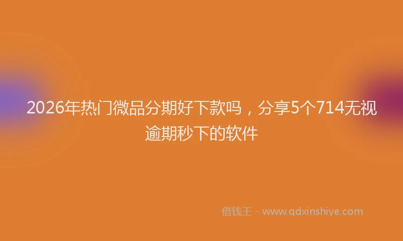 2026年热门微品分期好下款吗，分享5个714无视逾期秒下的软件