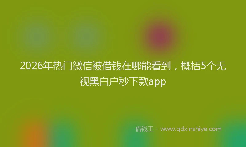 2026年热门微信被借钱在哪能看到，概括5个无视黑白户秒下款app