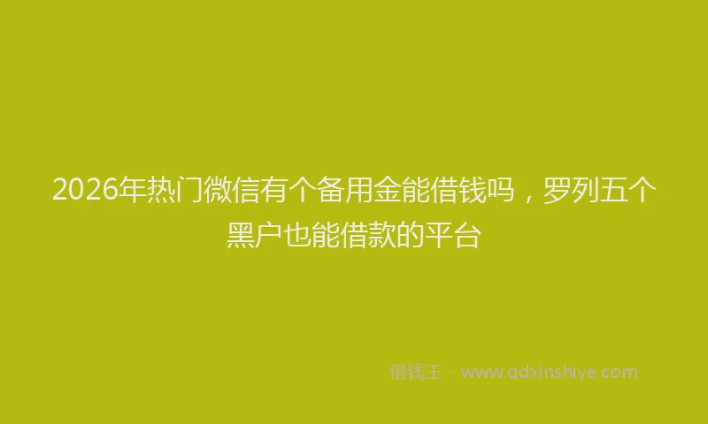 2026年热门微信有个备用金能借钱吗，罗列五个黑户也能借款的平台