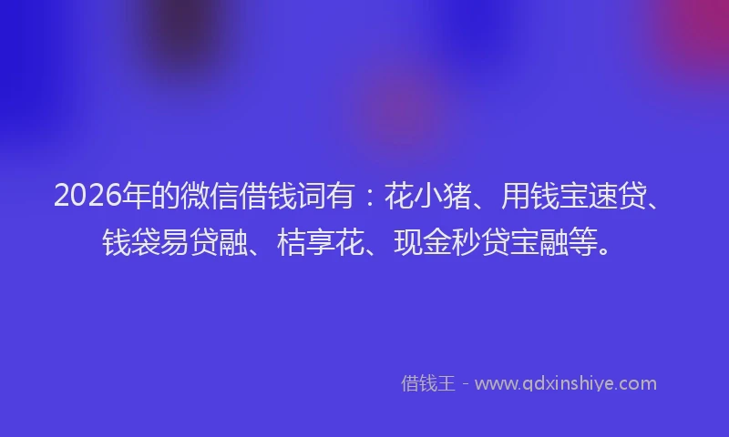 2026年的微信借钱词有：花小猪、用钱宝速贷、钱袋易贷融、桔享花、现金秒贷宝融等。