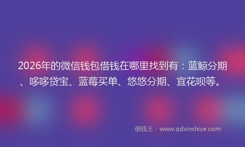 2026年的微信钱包借钱在哪里找到有：蓝鲸分期、哆哆贷宝、蓝莓买单、悠悠分期、宜花呗等。