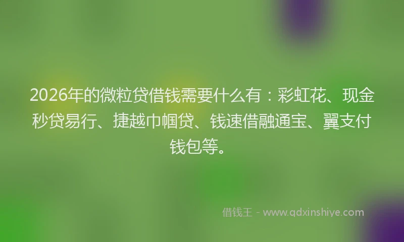 2026年的微粒贷借钱需要什么有：彩虹花、现金秒贷易行、捷越巾帼贷、钱速借融通宝、翼支付钱包等。