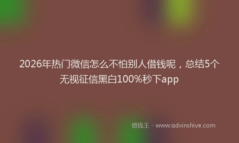 2026年热门微信怎么不怕别人借钱呢，总结5个无视征信黑白100%秒下app