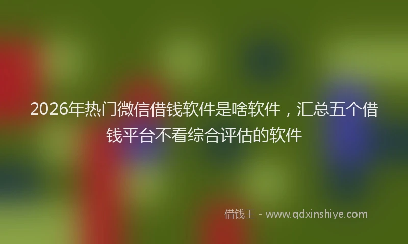 2026年热门微信借钱软件是啥软件，汇总五个借钱平台不看综合评估的软件