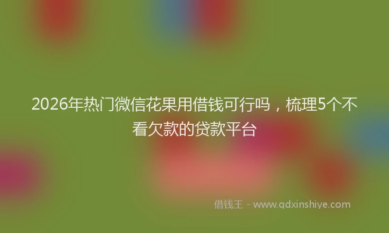 2026年热门微信花果用借钱可行吗,梳理5个不看欠款的贷款平台