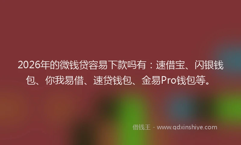 2026年的微钱贷容易下款吗有：速借宝、闪银钱包、你我易借、速贷钱包、金易Pro钱包等。