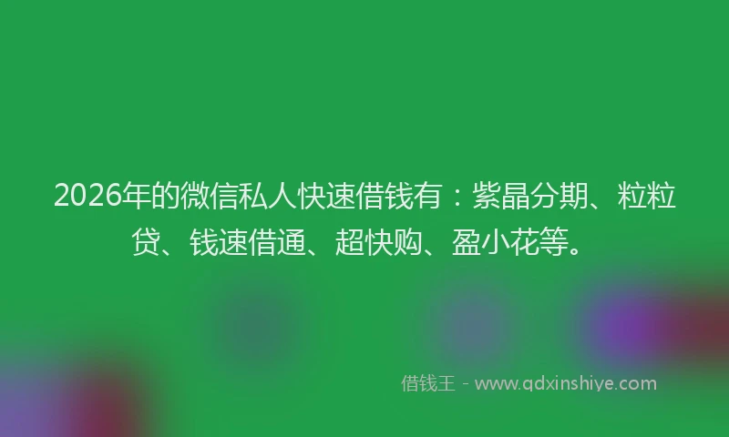 2026年的微信私人快速借钱有：紫晶分期、粒粒贷、钱速借通、超快购、盈小花等。