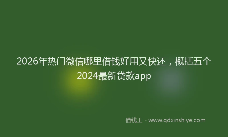 2026年热门微信哪里借钱好用又快还，概括五个2024最新贷款app