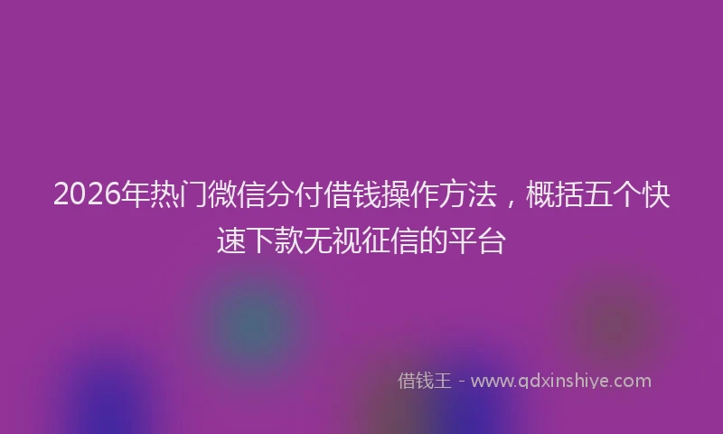 2026年热门微信分付借钱操作方法，概括五个快速下款无视征信的平台