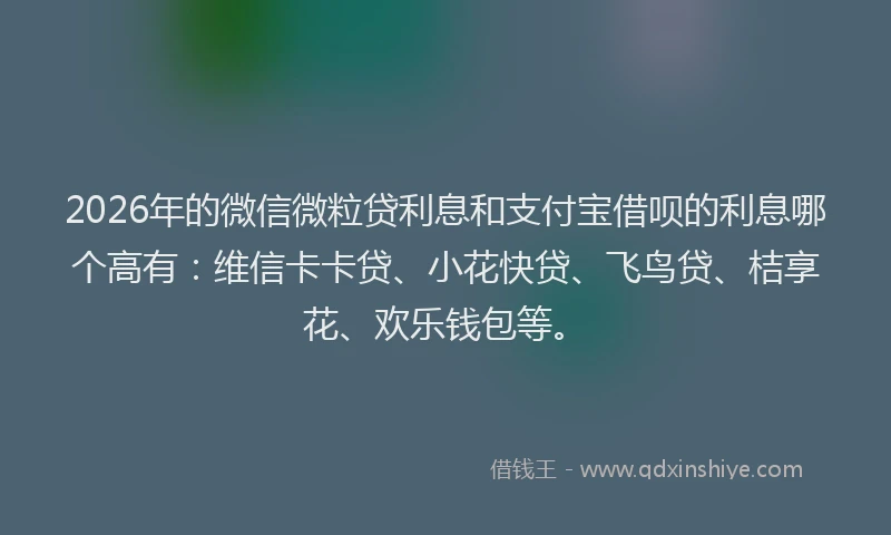 2026年的微信微粒贷利息和支付宝借呗的利息哪个高有：维信卡卡贷、小花快贷、飞鸟贷、桔享花、欢乐钱包等。