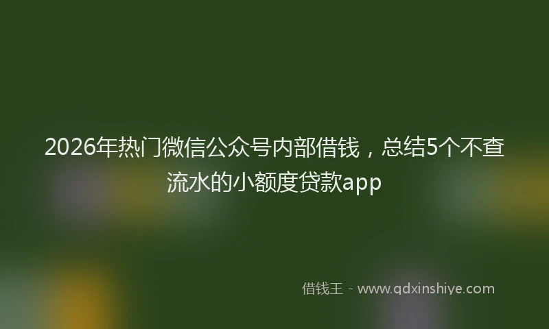 2026年热门微信公众号内部借钱，总结5个不查流水的小额度贷款app