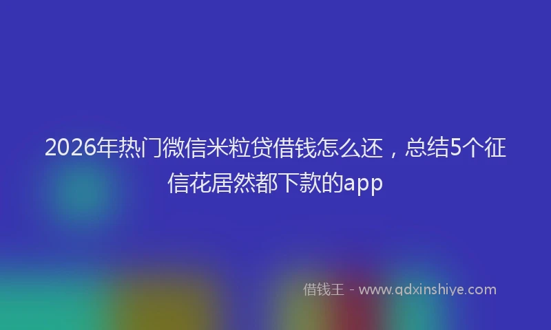 2026年热门微信米粒贷借钱怎么还，总结5个征信花居然都下款的app