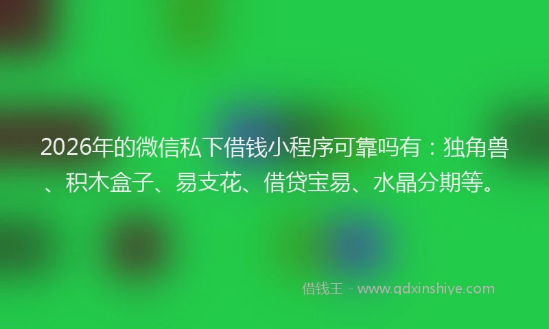 2026年的微信私下借钱小程序可靠吗有：独角兽、积木盒子、易支花、借贷宝易、水晶分期等。
