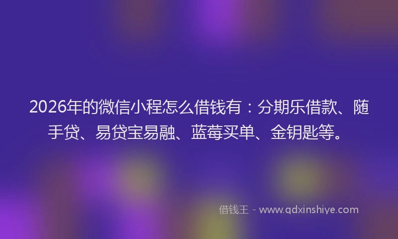 2026年的微信小程怎么借钱有：分期乐借款、随手贷、易贷宝易融、蓝莓买单、金钥匙等。