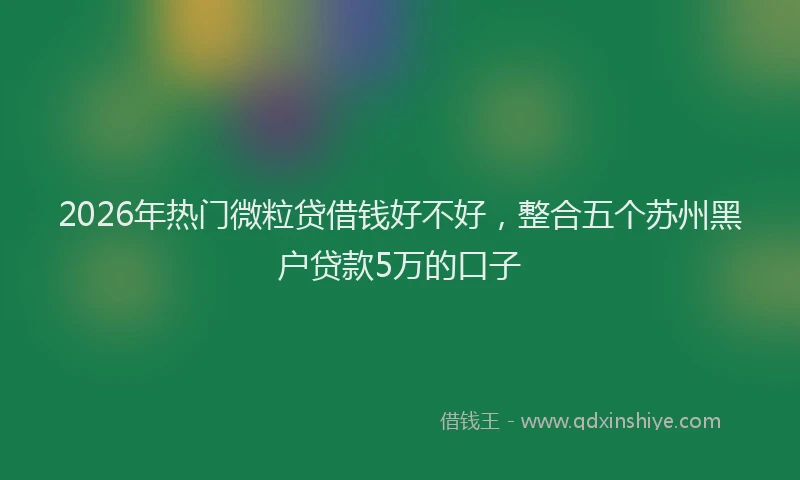 2026年热门微粒贷借钱好不好，整合五个苏州黑户贷款5万的口子