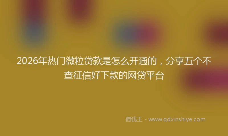 2026年热门微粒贷款是怎么开通的，分享五个不查征信好下款的网贷平台