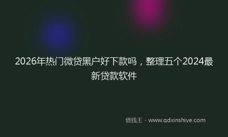 2026年热门微贷黑户好下款吗，整理五个2024最新贷款软件