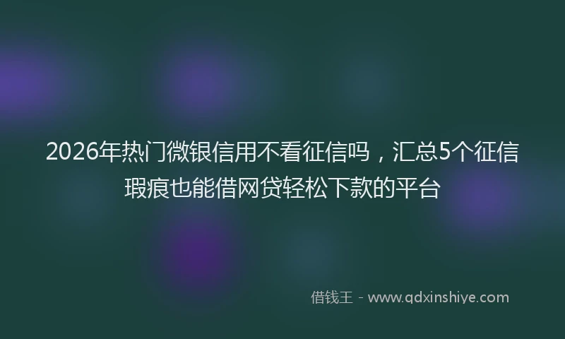 2026年热门微银信用不看征信吗，汇总5个征信瑕疵也能借网贷轻松下款的平台