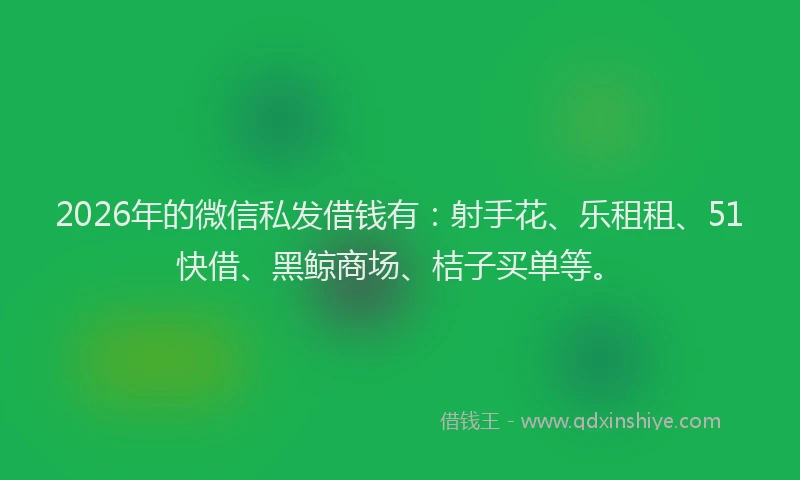 2026年的微信私发借钱有:射手花、乐租租、51快借、黑鲸商场、桔子买单等。
