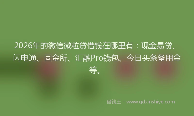 2026年的微信微粒贷借钱在哪里有：现金易贷、闪电通、固金所、汇融Pro钱包、今日头条备用金等。