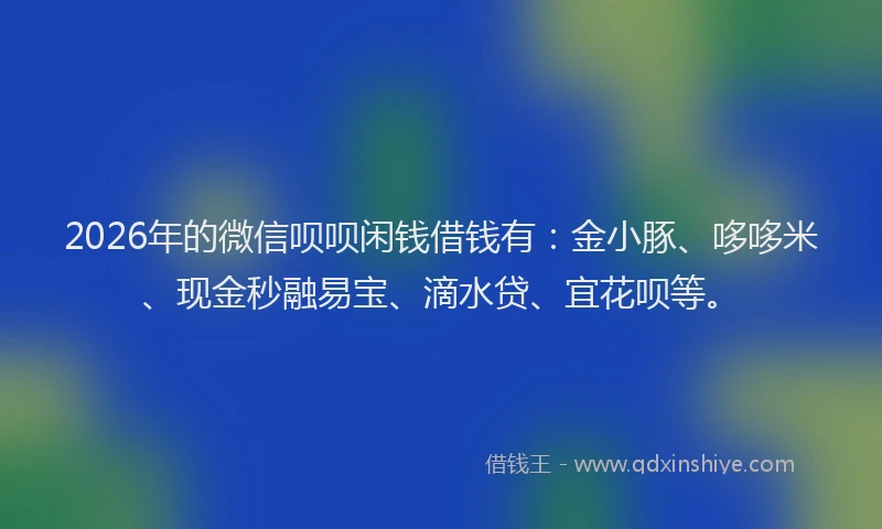 2026年的微信呗呗闲钱借钱有：金小豚、哆哆米、现金秒融易宝、滴水贷、宜花呗等。