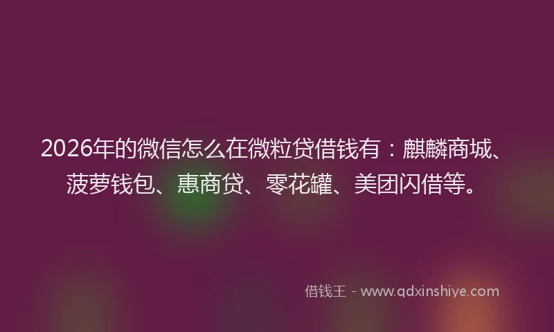 2026年的微信怎么在微粒贷借钱有：麒麟商城、菠萝钱包、惠商贷、零花罐、美团闪借等。