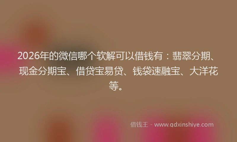 2026年的微信哪个软解可以借钱有：翡翠分期、现金分期宝、借贷宝易贷、钱袋速融宝、大洋花等。