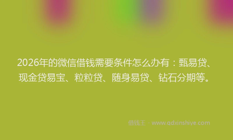 2026年的微信借钱需要条件怎么办有：甄易贷、现金贷易宝、粒粒贷、随身易贷、钻石分期等。
