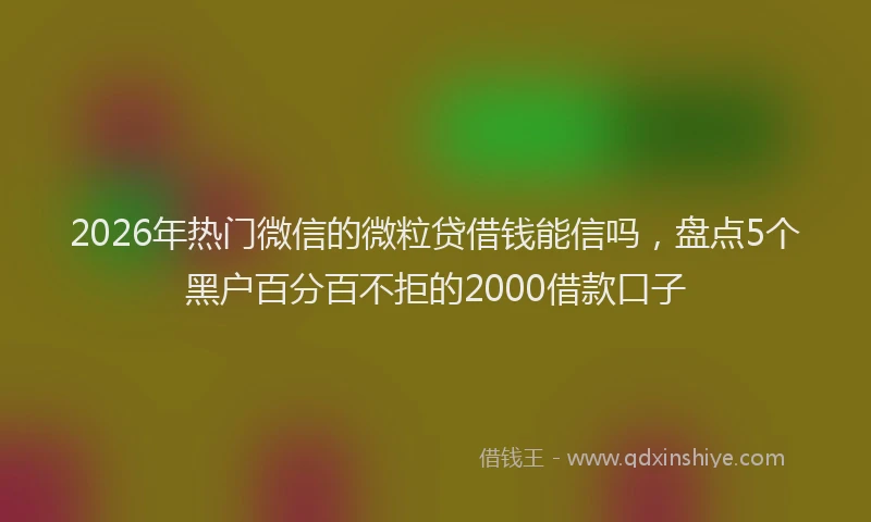2026年热门微信的微粒贷借钱能信吗，盘点5个黑户百分百不拒的2000借款口子