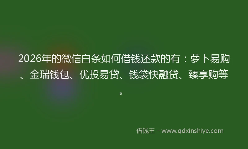 2026年的微信白条如何借钱还款的有:萝卜易购、金瑞钱包、优投易贷、钱袋快融贷、臻享购等。
