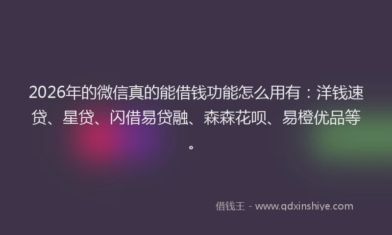 2026年的微信真的能借钱功能怎么用有：洋钱速贷、星贷、闪借易贷融、森森花呗、易橙优品等。