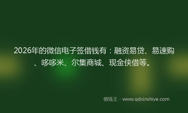 2026年的微信电子签借钱有：融资易贷、易速购、哆哆米、尔集商城、现金侠借等。