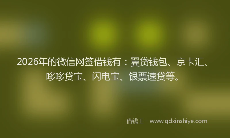 2026年的微信网签借钱有：翼贷钱包、京卡汇、哆哆贷宝、闪电宝、银票速贷等。