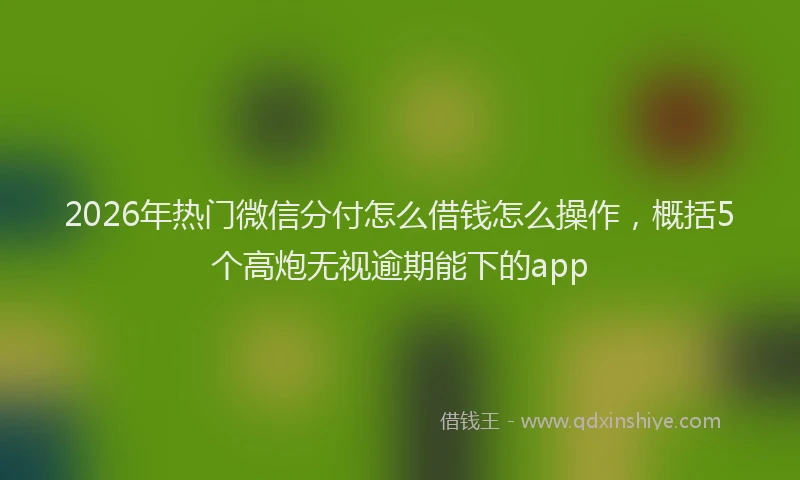2026年热门微信分付怎么借钱怎么操作，概括5个高炮无视逾期能下的app