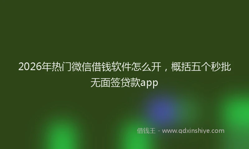 2026年热门微信借钱软件怎么开，概括五个秒批无面签贷款app