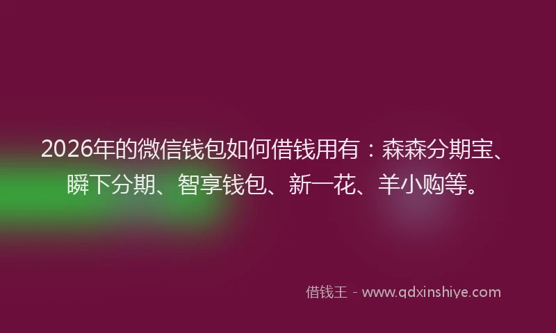 2026年的微信钱包如何借钱用有：森森分期宝、瞬下分期、智享钱包、新一花、羊小购等。