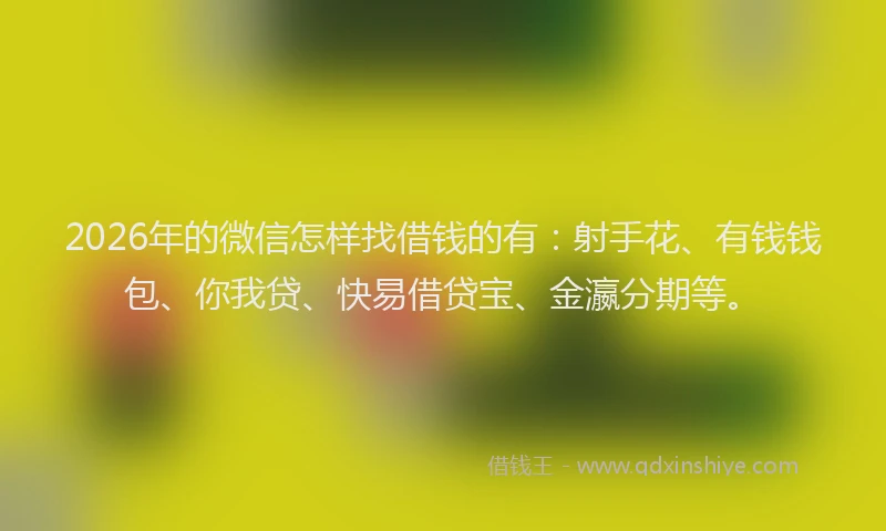 2026年的微信怎样找借钱的有：射手花、有钱钱包、你我贷、快易借贷宝、金瀛分期等。